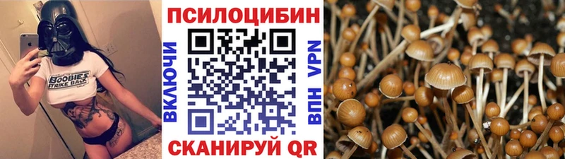 Галлюциногенные грибы мухоморы  Камешково 